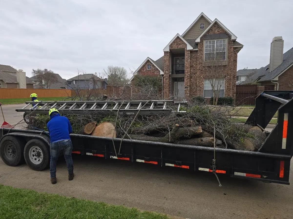 Expert Tree Removal with proper safety equipment in Northfield